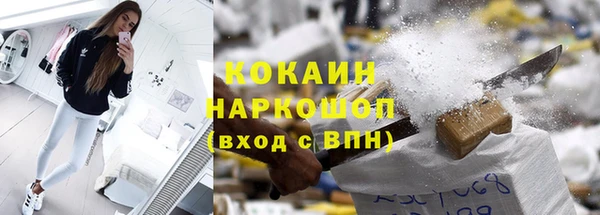 твердый Арсеньев