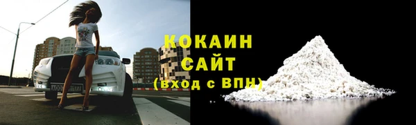 твердый Арсеньев