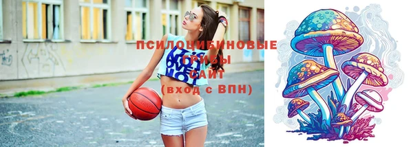 твердый Арсеньев
